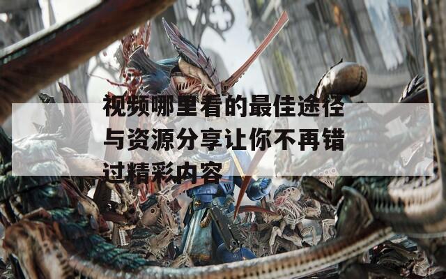 视频哪里看的最佳途径与资源分享让你不再错过精彩内容