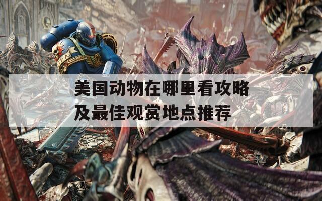 美国动物在哪里看攻略及最佳观赏地点推荐
