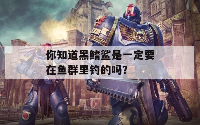 你知道黑鳍鲨是一定要在鱼群里钓的吗？