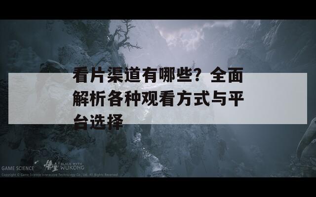 看片渠道有哪些？全面解析各种观看方式与平台选择