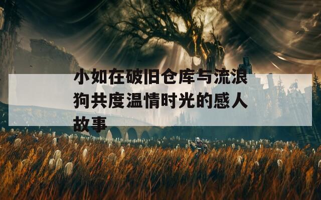 小如在破旧仓库与流浪狗共度温情时光的感人故事