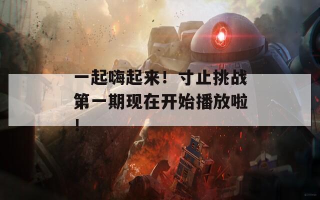 一起嗨起来！寸止挑战第一期现在开始播放啦！
