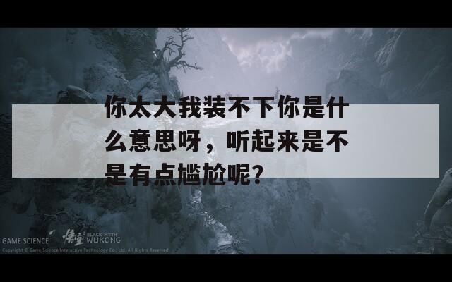你太大我装不下你是什么意思呀，听起来是不是有点尴尬呢？