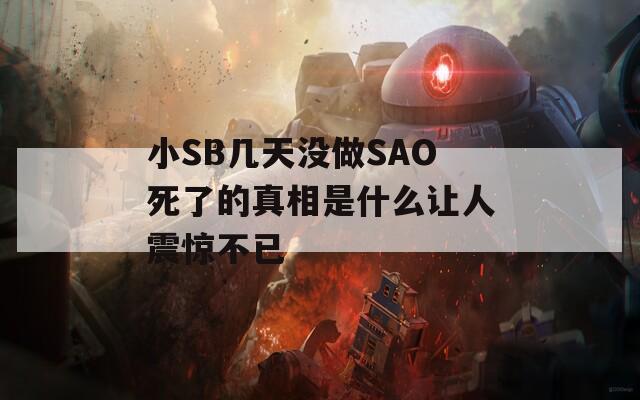 小SB几天没做SAO死了的真相是什么让人震惊不已
