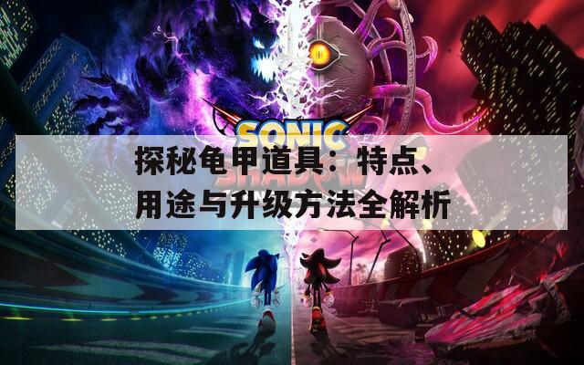 探秘龟甲道具：特点、用途与升级方法全解析
