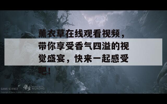 薰衣草在线观看视频，带你享受香气四溢的视觉盛宴，快来一起感受吧！