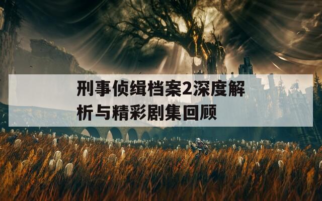 刑事侦缉档案2深度解析与精彩剧集回顾