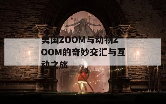 美国ZOOM与动物ZOOM的奇妙交汇与互动之旅