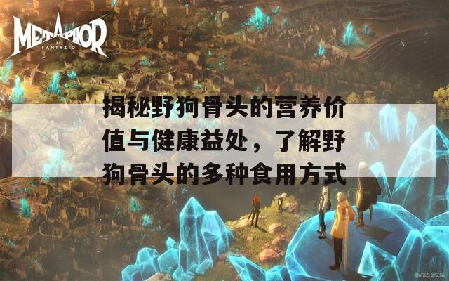 揭秘野狗骨头的营养价值与健康益处，了解野狗骨头的多种食用方式