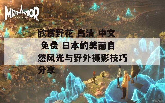 欣赏野花 高清 中文 免费 日本的美丽自然风光与野外摄影技巧分享