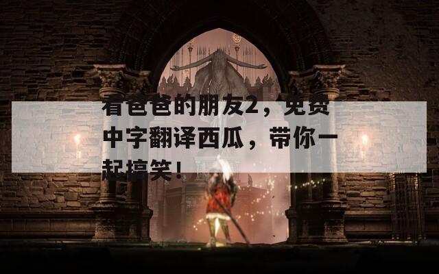 看爸爸的朋友2，免费中字翻译西瓜，带你一起搞笑！