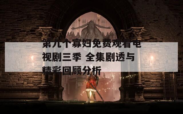 第九个寡妇免费观看电视剧三季 全集剧透与精彩回顾分析