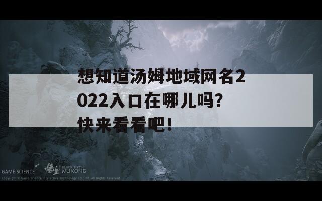 想知道汤姆地域网名2022入口在哪儿吗？快来看看吧！