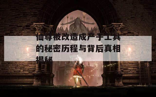 仙尊被改造成产子工具的秘密历程与背后真相揭秘