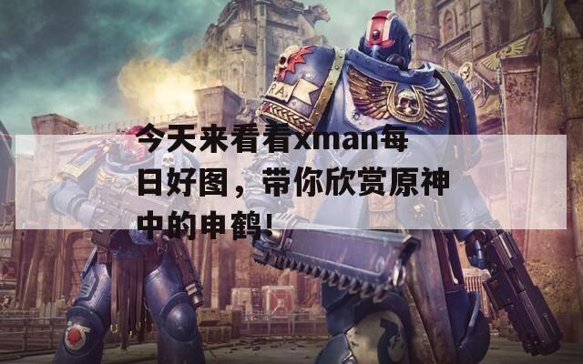 今天来看看xman每日好图，带你欣赏原神中的申鹤！