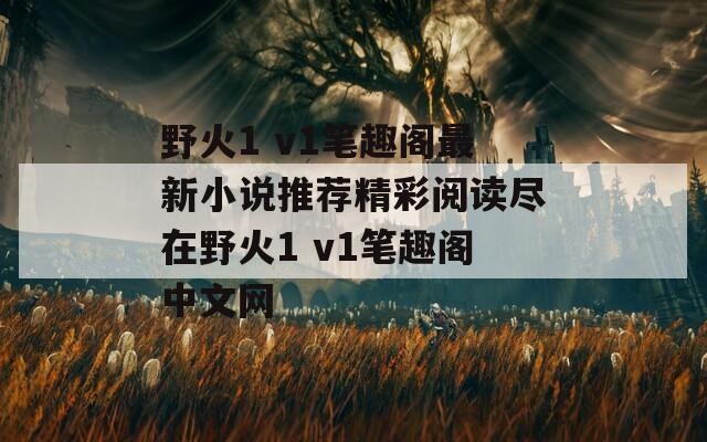 野火1 v1笔趣阁最新小说推荐精彩阅读尽在野火1 v1笔趣阁中文网