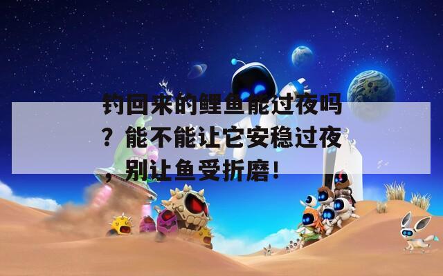 钓回来的鲤鱼能过夜吗？能不能让它安稳过夜，别让鱼受折磨！