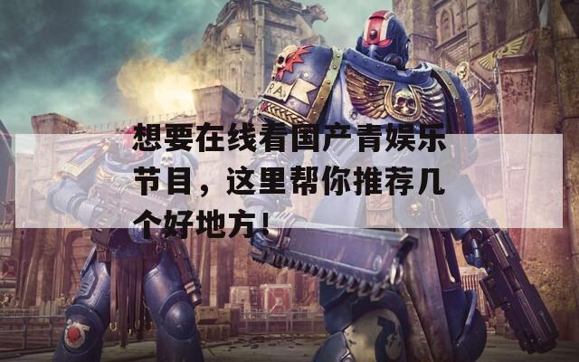想要在线看国产青娱乐节目，这里帮你推荐几个好地方！