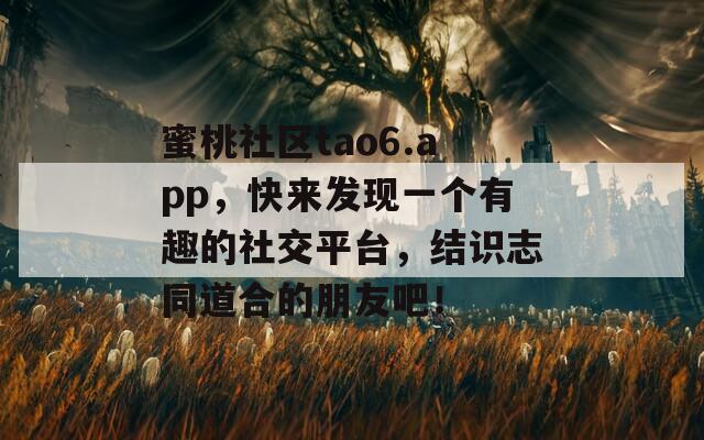 蜜桃社区tao6.app，快来发现一个有趣的社交平台，结识志同道合的朋友吧！