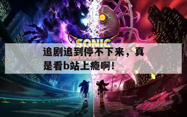 追剧追到停不下来，真是看b站上瘾啊！