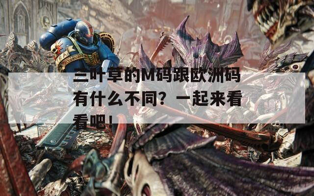 三叶草的M码跟欧洲码有什么不同？一起来看看吧！
