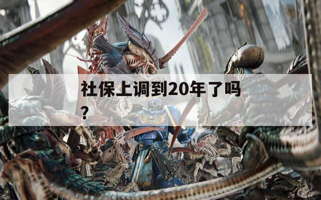 社保上调到20年了吗？