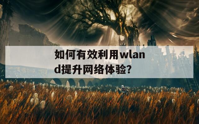 如何有效利用wland提升网络体验？