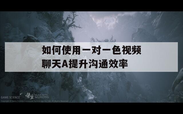 如何使用一对一色视频聊天A提升沟通效率