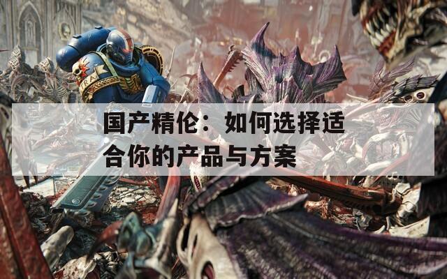 国产精伦：如何选择适合你的产品与方案