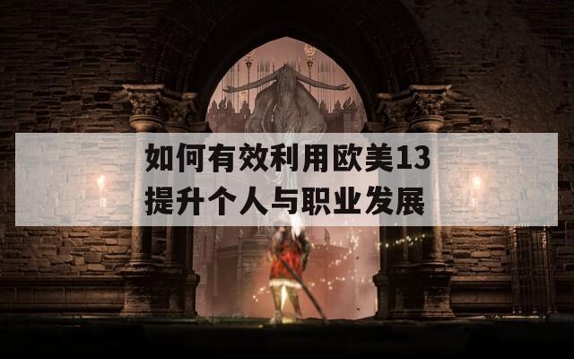 如何有效利用欧美13提升个人与职业发展