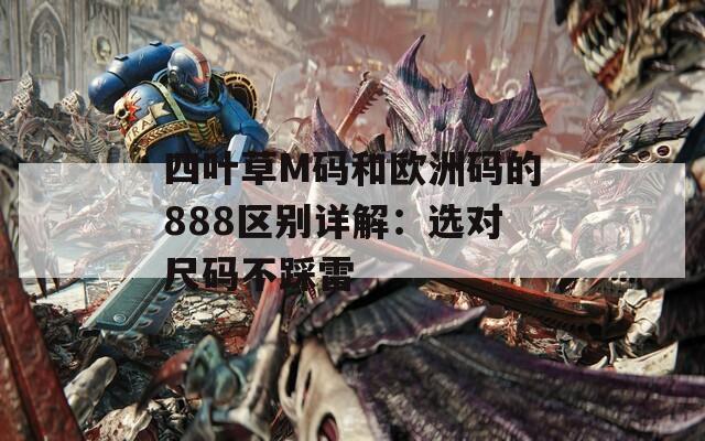 四叶草M码和欧洲码的888区别详解：选对尺码不踩雷