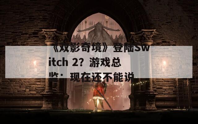 《双影奇境》登陆Switch 2？游戏总监：现在还不能说