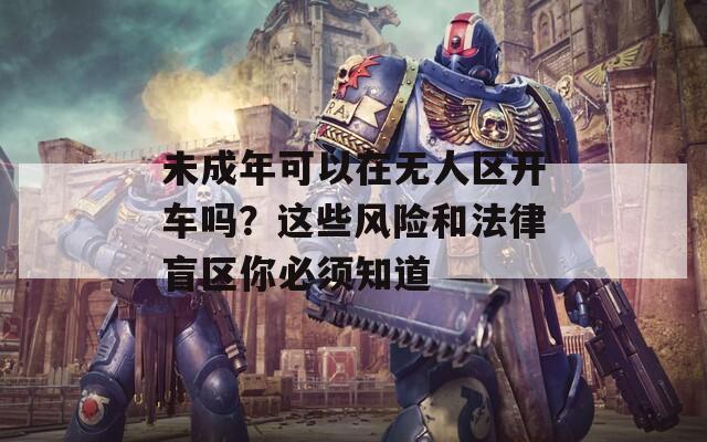 未成年可以在无人区开车吗？这些风险和法律盲区你必须知道