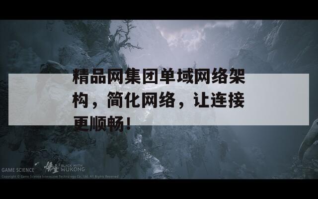 精品网集团单域网络架构，简化网络，让连接更顺畅！