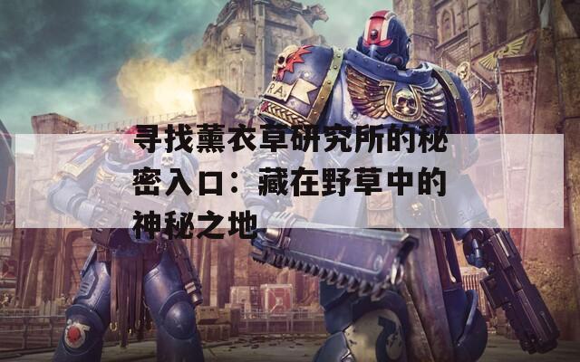 寻找薰衣草研究所的秘密入口：藏在野草中的神秘之地
