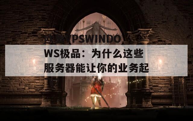欧美VPSWINDOWS极品：为什么这些服务器能让你的业务起飞？