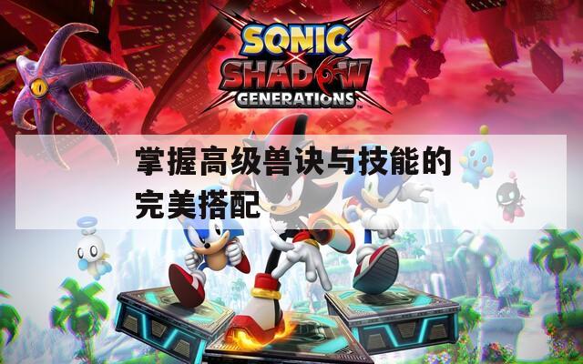 掌握高级兽诀与技能的完美搭配