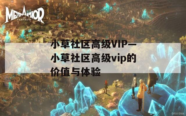 小草社区高级VIP—小草社区高级vip的价值与体验
