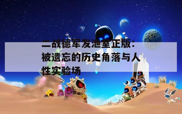 二战德军发泄室正版：被遗忘的历史角落与人性实验场