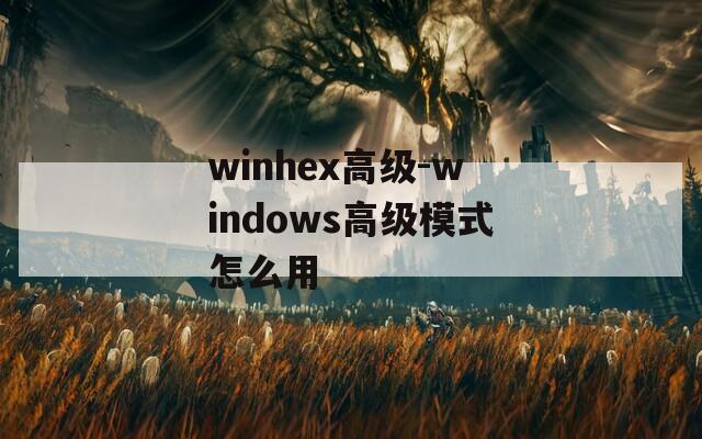 winhex高级-windows高级模式怎么用