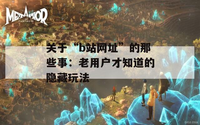 关于“b站网址”的那些事：老用户才知道的隐藏玩法