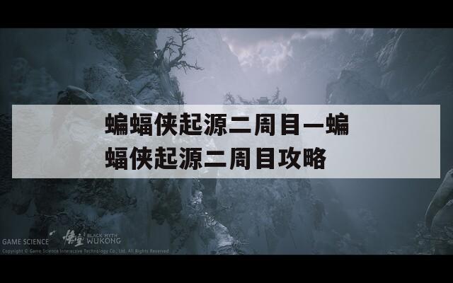 蝙蝠侠起源二周目—蝙蝠侠起源二周目攻略