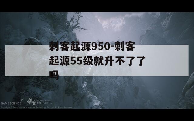 刺客起源950-刺客起源55级就升不了了吗