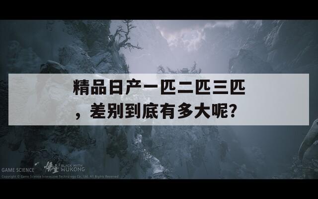 精品日产一匹二匹三匹，差别到底有多大呢？