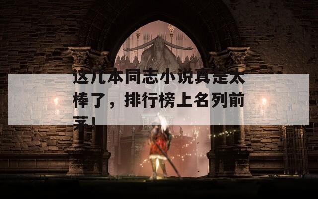 这几本同志小说真是太棒了，排行榜上名列前茅！