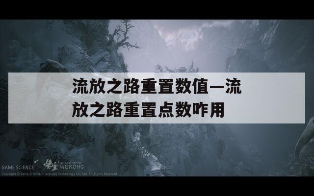 流放之路重置数值—流放之路重置点数咋用
