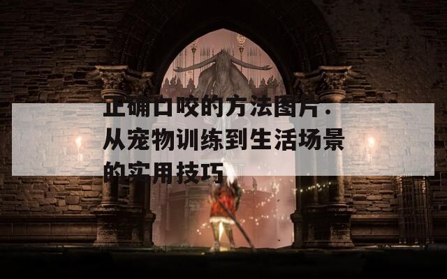 正确口咬的方法图片：从宠物训练到生活场景的实用技巧
