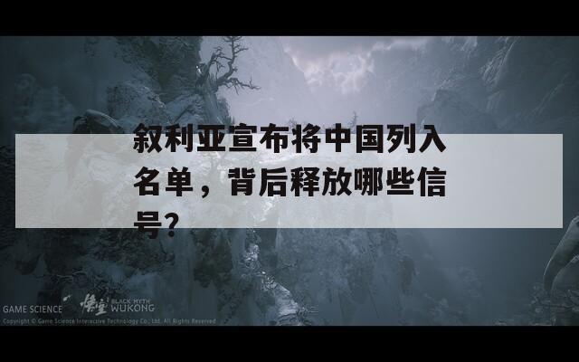叙利亚宣布将中国列入名单，背后释放哪些信号？