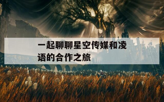 一起聊聊星空传媒和凌语的合作之旅