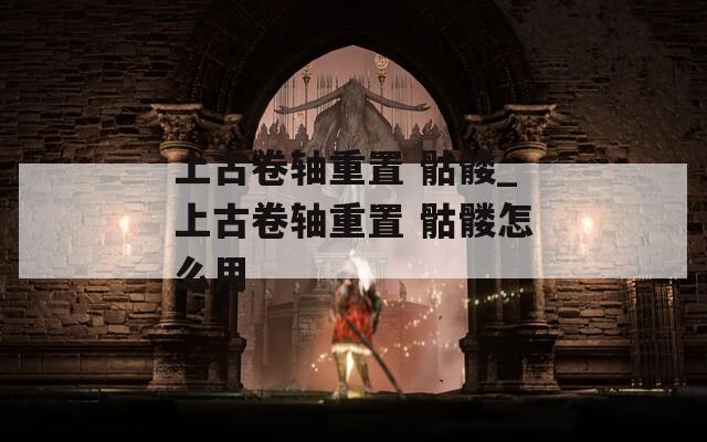 上古卷轴重置 骷髅_上古卷轴重置 骷髅怎么用